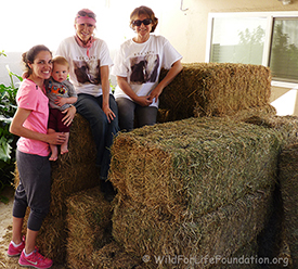 WFLF Hay donation drive